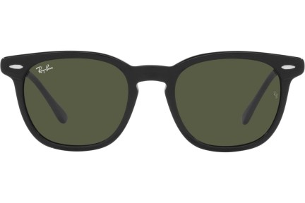 Solglasögon Ray-Ban Hawkeye RB2298 901/31 Fyrkantig Svart