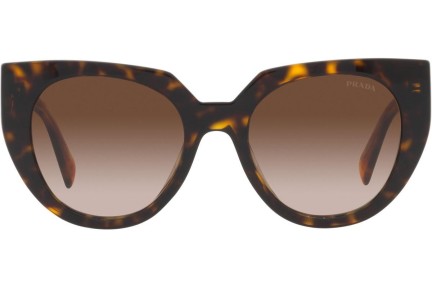 Solglasögon Prada PR14WS 2AU6S1 Cat Eye Havana