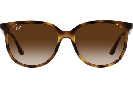 Solglasögon Ray-Ban RB4378 710/13 Fyrkantig Havana