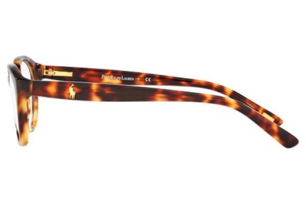 Glasögon Polo Ralph Lauren PP8526 1591 Oval Havana