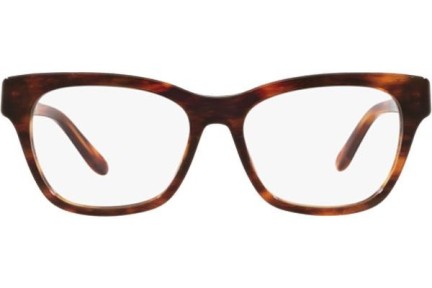 Glasögon Ralph Lauren RL6209Q 5007 Cat Eye Havana