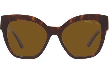 Solglasögon Prada PR17ZS 2AU5Y1 Polarized Fyrkantig Havana