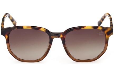 Solglasögon Timberland TB9305-H 53H Polarized Runda Havana