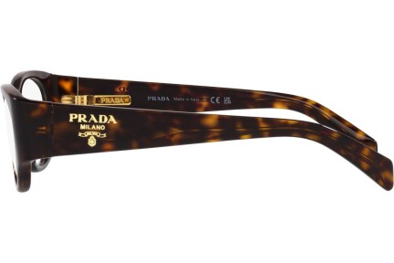 Glasögon Prada PR06ZV 2AU1O1 Cat Eye Havana