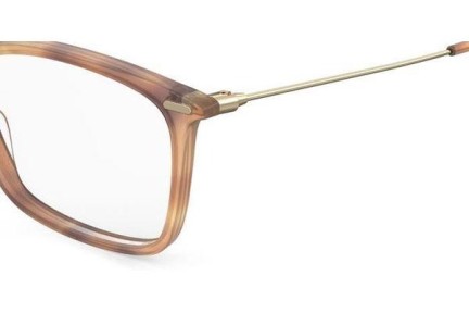 Glasögon Safilo LINEA/T14 2IK Cat Eye Havana