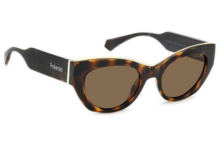 Solglasögon Polaroid PLD6199/S/X 086/SP Polarized Cat Eye Havana