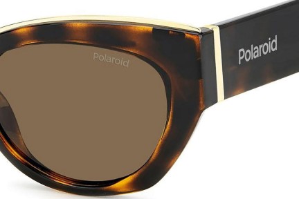 Solglasögon Polaroid PLD6199/S/X 086/SP Polarized Cat Eye Havana