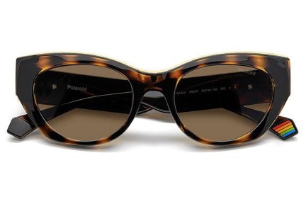 Solglasögon Polaroid PLD6199/S/X 086/SP Polarized Cat Eye Havana