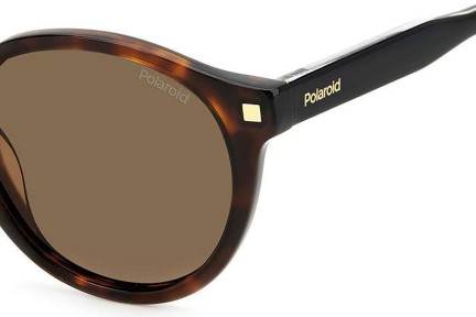 Solglasögon Polaroid PLD4150/S/X 086/SP Polarized Oval Havana