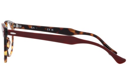 Glasögon Ray-Ban Eagleeye RX5598 8250 Runda Flerfärgs