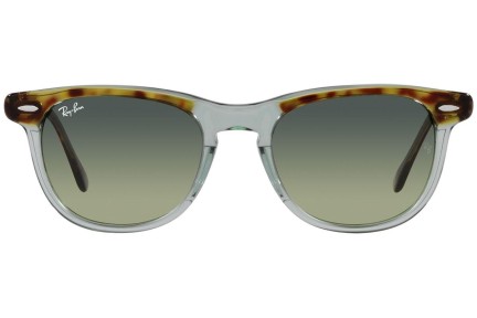 Solglasögon Ray-Ban Eagleeye RB2398 1376BH Runda Grön