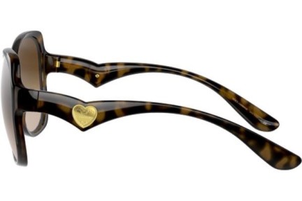 Solglasögon Dolce & Gabbana DG6154 502/13 Cat Eye Havana