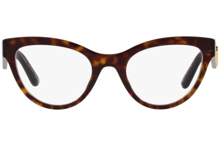 Glasögon Dolce & Gabbana DG3372 502 Cat Eye Havana