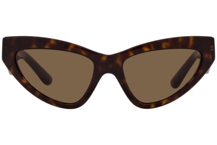 Solglasögon Dolce & Gabbana DG4439 502/73 Cat Eye Havana