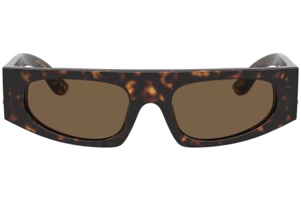 Solglasögon Dolce & Gabbana DG4411 502/73 Flat Top Havana