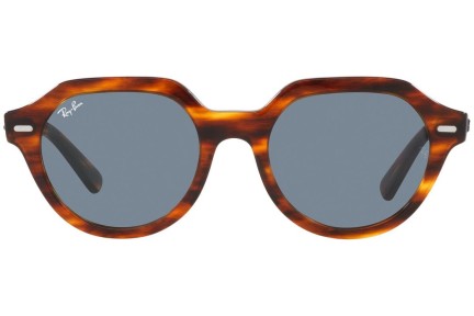 Solglasögon Ray-Ban Gina RB4399 954/62 Fyrkantig Havana