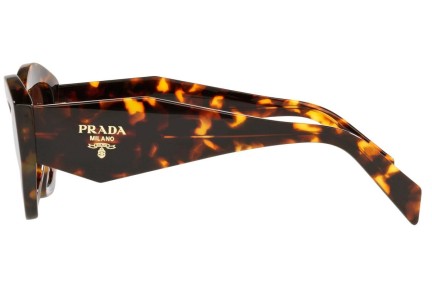 Solglasögon Prada PR07YS VAU6S1 Cat Eye Havana