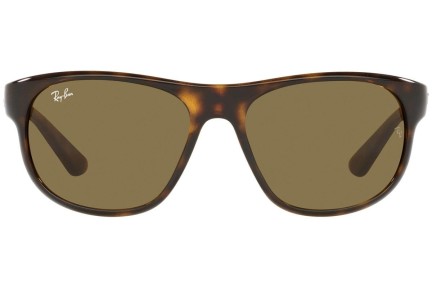 Solglasögon Ray-Ban RB4351 710/73 Oval Havana