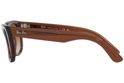 Solglasögon Ray-Ban Wayfarer Reverse RBR0502S 6709CB Fyrkantig Brun