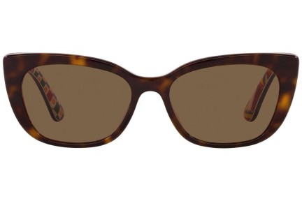 Solglasögon Dolce & Gabbana DX4427 321773 Cat Eye Havana