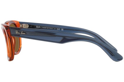 Solglasögon Ray-Ban Wayfarer Reverse RBR0502S 6712GM Fyrkantig Orange