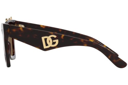 Solglasögon Dolce & Gabbana DG4434 502/73 Cat Eye Havana