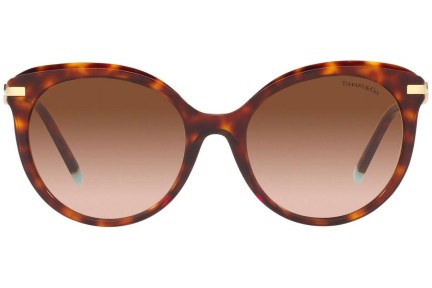 Solglasögon Tiffany & Co. TF4189B 80023B Cat Eye Havana