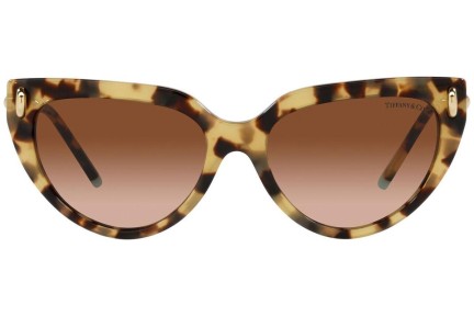 Solglasögon Tiffany & Co. TF4195 80643B Cat Eye Havana