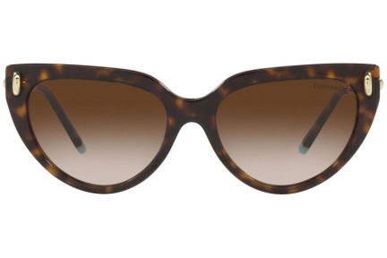 Solglasögon Tiffany & Co. TF4195 80153B Cat Eye Havana