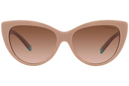 Solglasögon Tiffany & Co. TF4196 83523B Cat Eye Brun