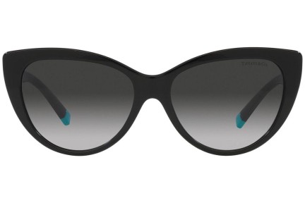 Solglasögon Tiffany & Co. TF4196 80013C Cat Eye Svart