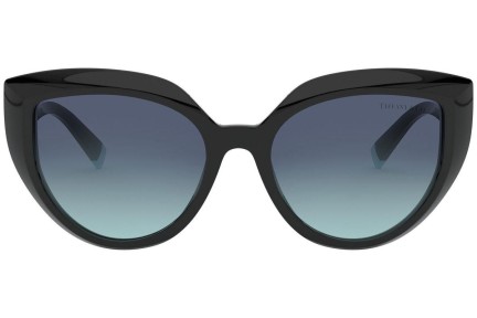 Solglasögon Tiffany & Co. TF4170 80019S Cat Eye Svart