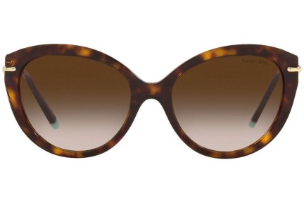 Solglasögon Tiffany & Co. TF4187 80153B Cat Eye Havana