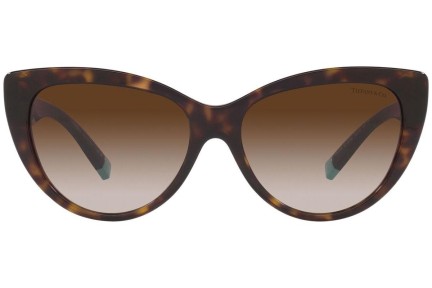 Solglasögon Tiffany & Co. TF4196 80153B Cat Eye Havana