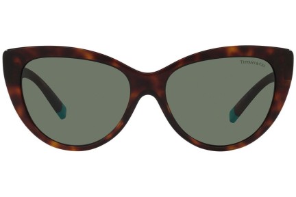 Solglasögon Tiffany & Co. TF4196 80023H Cat Eye Havana