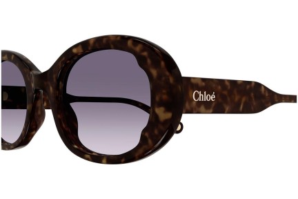 Solglasögon Chloe CH0197S 002 Oval Havana