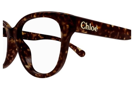 Glasögon Chloe CH0243O 006 Rektangulära Havana