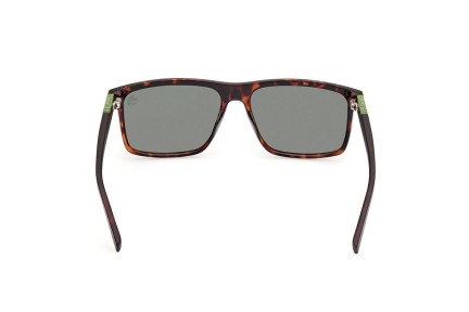 Solglasögon Timberland TB00008 52R Polarized Fyrkantig Havana