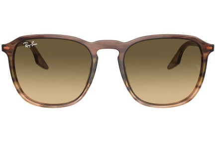 Solglasögon Ray-Ban RB2203 13920A Fyrkantig Brun