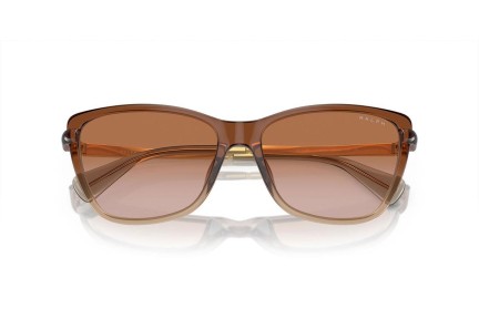 Solglasögon Ralph Lauren RA5308U 613313 Cat Eye Brun