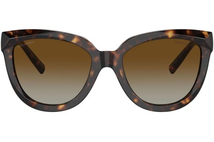 Solglasögon Tiffany & Co. TF4215 8015T5 Polarized Cat Eye Havana