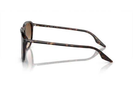 Solglasögon Ray-Ban RB2203 902/51 Fyrkantig Havana