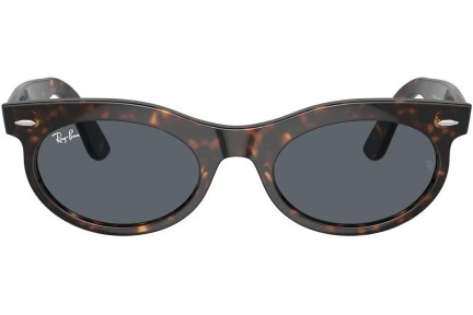 Solglasögon Ray-Ban RB2242 902/R5 Browline Havana