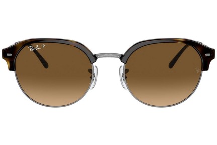 Solglasögon Ray-Ban RB4429 710/M2 Polarized Oval Havana