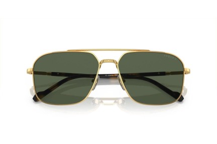 Solglasögon Vogue Eyewear VO4289S 280/9A Polarized Special Guld