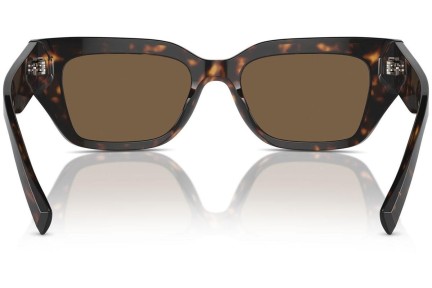 Solglasögon Dolce & Gabbana DG4462 502/73 Cat Eye Havana