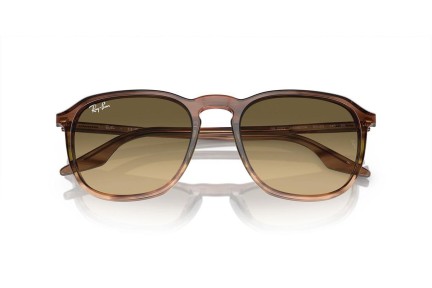 Solglasögon Ray-Ban RB2203 13920A Fyrkantig Brun