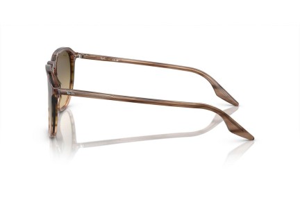 Solglasögon Ray-Ban RB2203 13920A Fyrkantig Brun