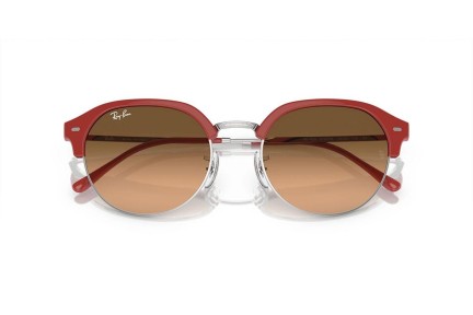 Solglasögon Ray-Ban RB4429 67223B Oval Silver