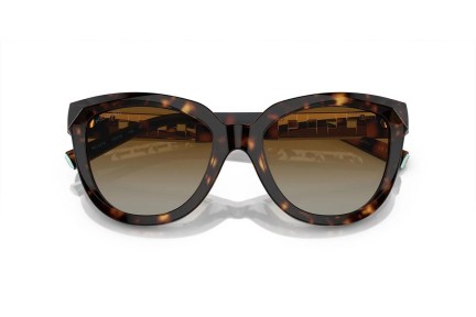 Solglasögon Tiffany & Co. TF4215 8015T5 Polarized Cat Eye Havana